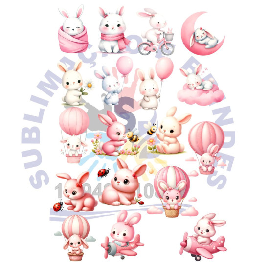 Imagem 1